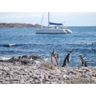 French Polynesia in a Catamaran