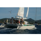 United Kingdom, Cornwall. Snow Leopard