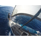 Fiji, Vuda Point,. Musket Cove. With swimming pool 